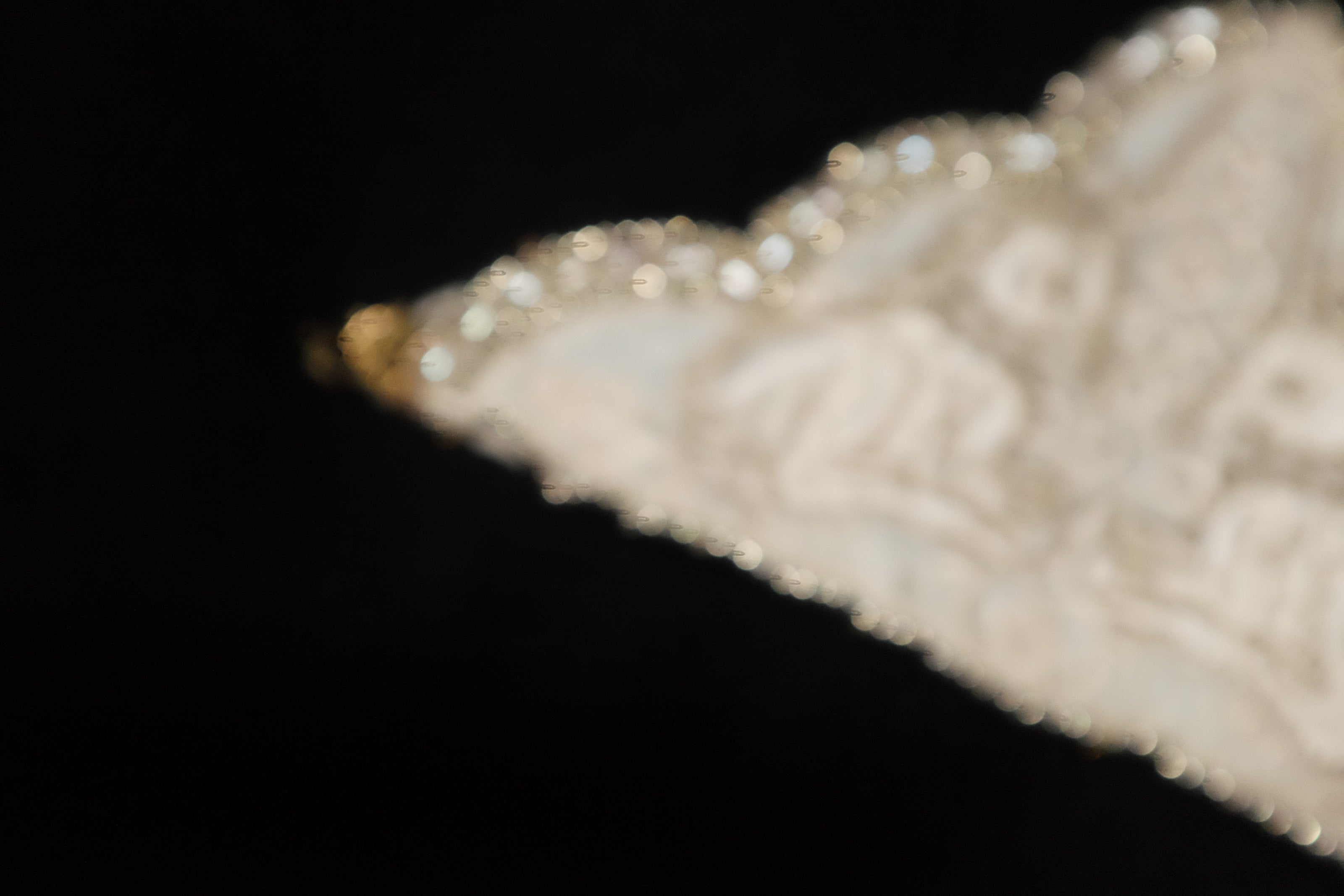 獨角獸繁花手鏈 Unicorn Bracelet
